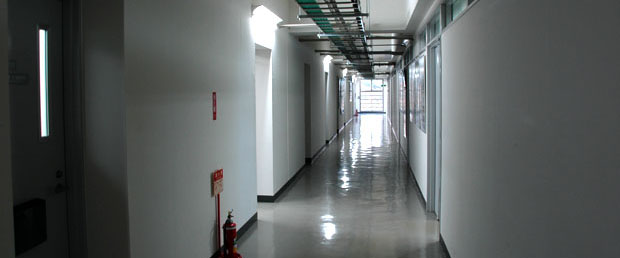 �������E�������̗l�q